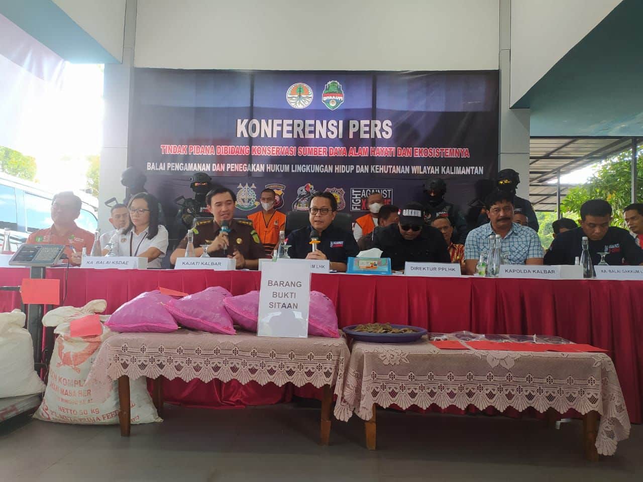 Gakkum KLHK Kalbar dan Tim Gabungan Tangkap Tiga Tersangka Kasus Perdagangan Sisik Trenggiling