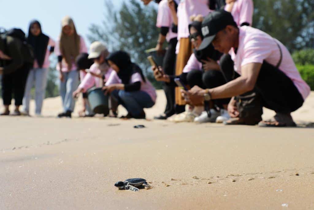 Srikandi Ganjar Lepas Bayi Penyu dan Bersih-bersih Pantai di Sambas
