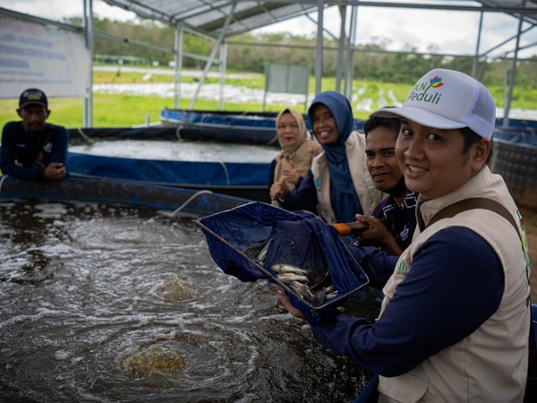 Program Bioflok PLN Menguntungkan, Gabungan Kelompok Tani Kayuh Baimbai mampu Sustain
