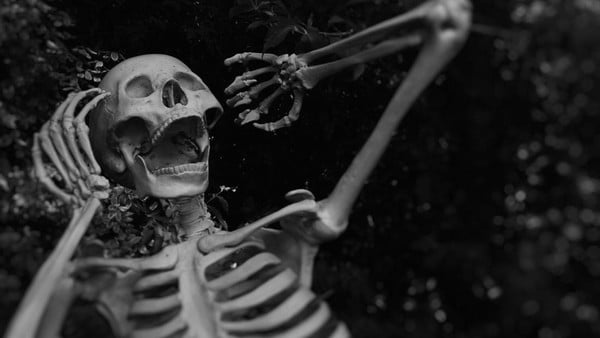 Heboh, Kerangka Manusia Ditemukan Terkubur di Bukit Tempayan Kabupaten Sambas