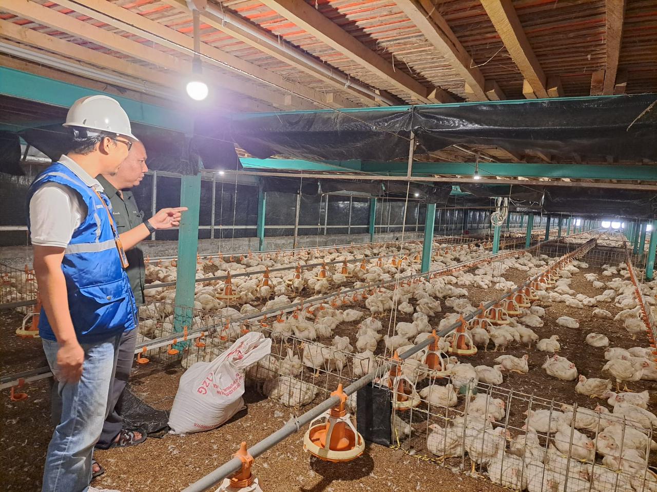 Pertanian Modern Berbasis Listrik Kian Berkembang, Program Electrifying Agriculture PLN Tumbuh 22,28 Persen