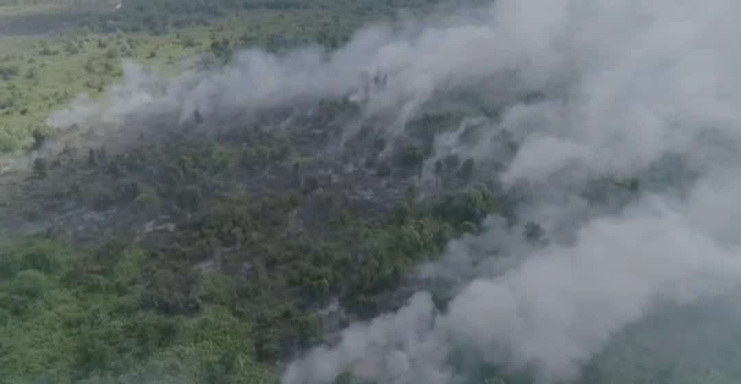 BNPB Dinilai Hanya Cari Kambing Hitam Lewat Pencabutan Perda Membuka Lahan Berbasis Kearifan Lokal