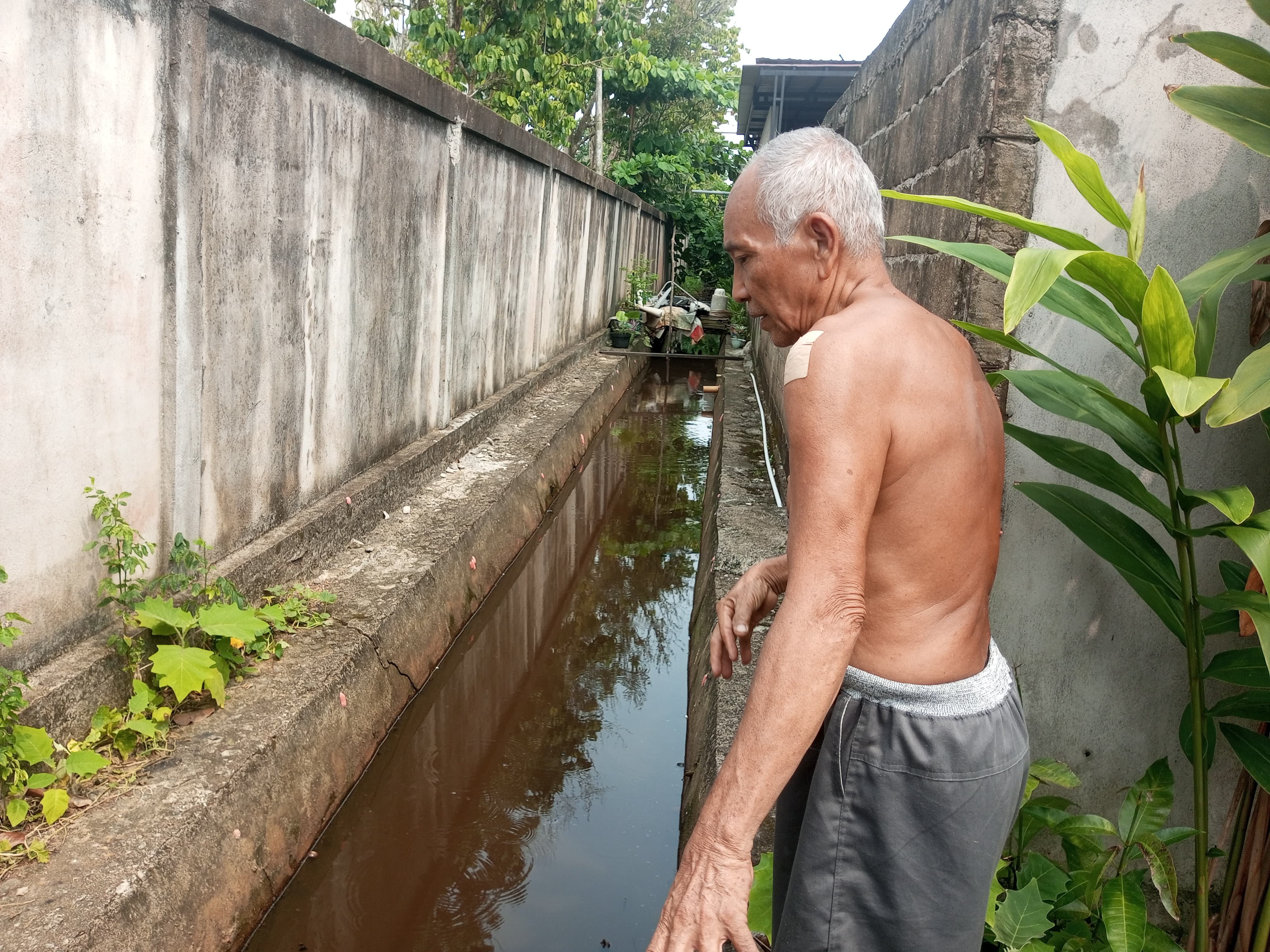 Kronologi Awal Munculnya Buaya di Pemukiman Warga