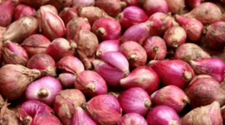 Panen Melimpah, Harga Bawang Murah