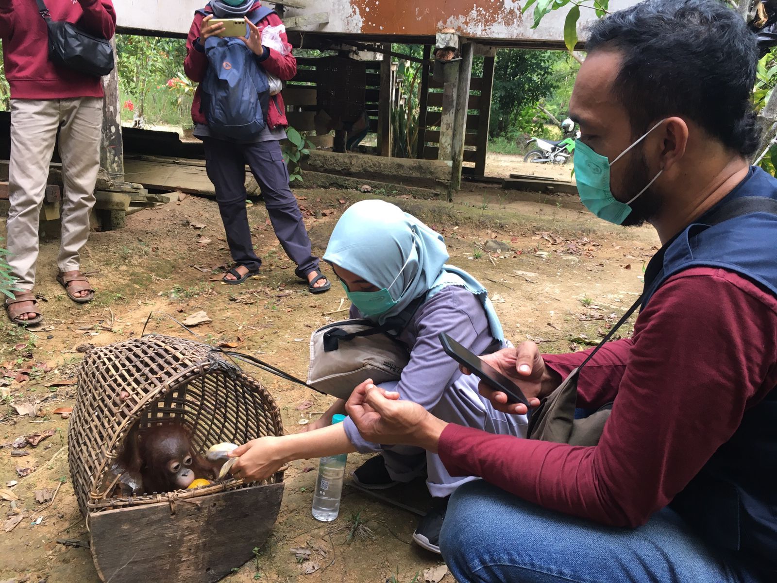 Perjalanan BKSDA Kalbar Selamatkan Bayi Orang Utan