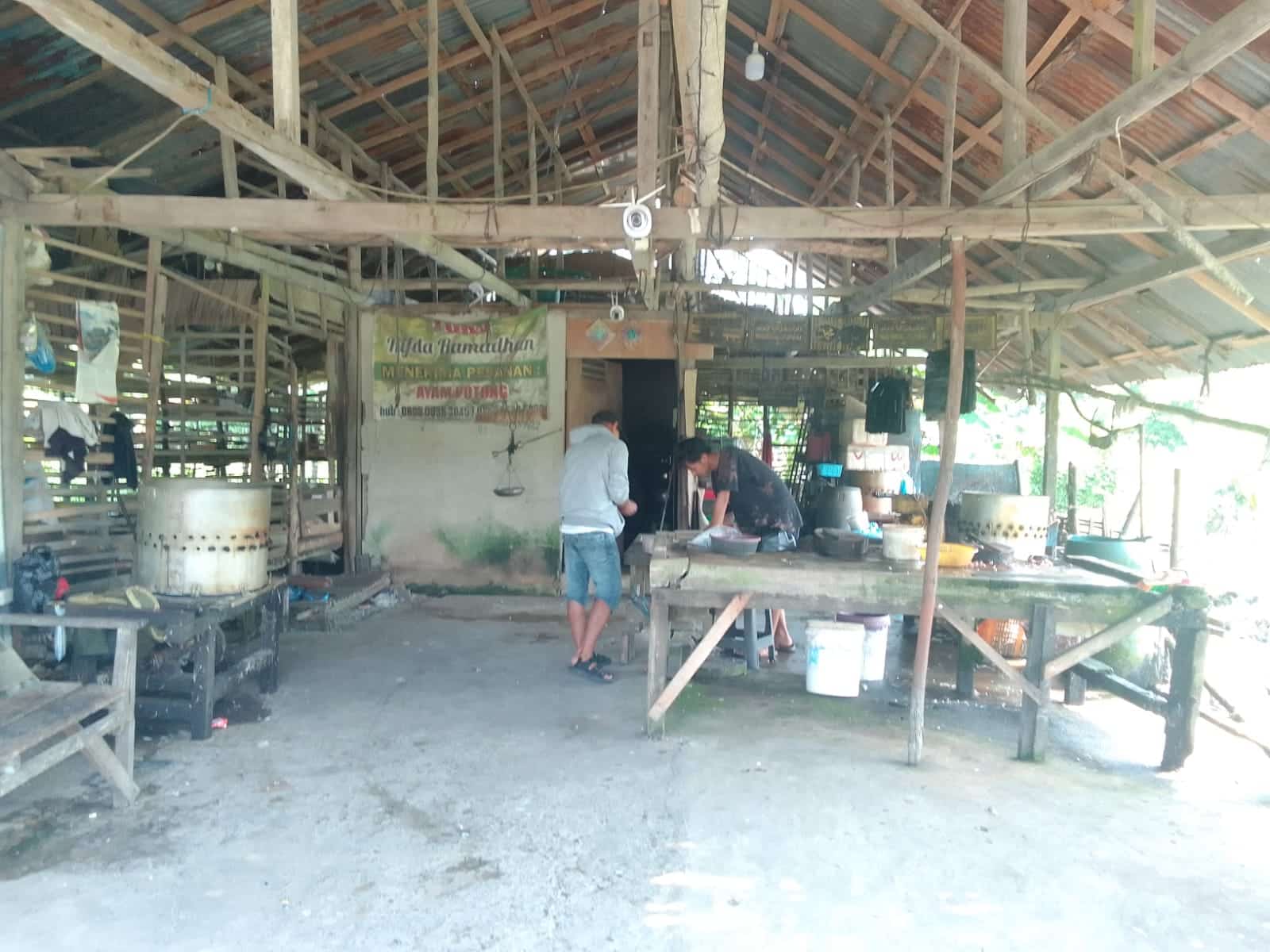 Harga Ayam di Pemotongan Ayam Rezeky Stabil