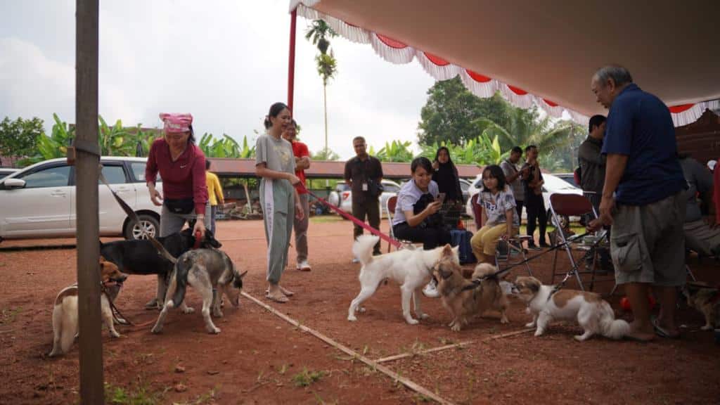 Ratusan Hewan di Kapuas Hulu Dapatkan Vaksin Rabies