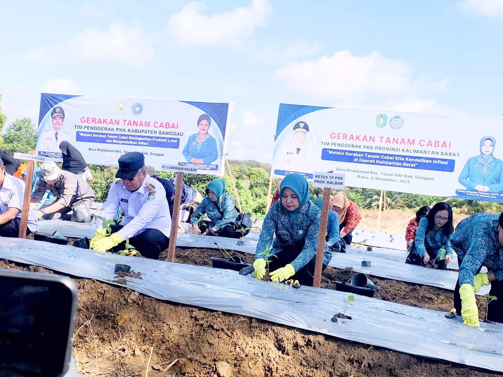 Turun ke Sanggau, Harisson-Windy Ajak Masyarakat Tanam Cabai di Pekarangan Rumah