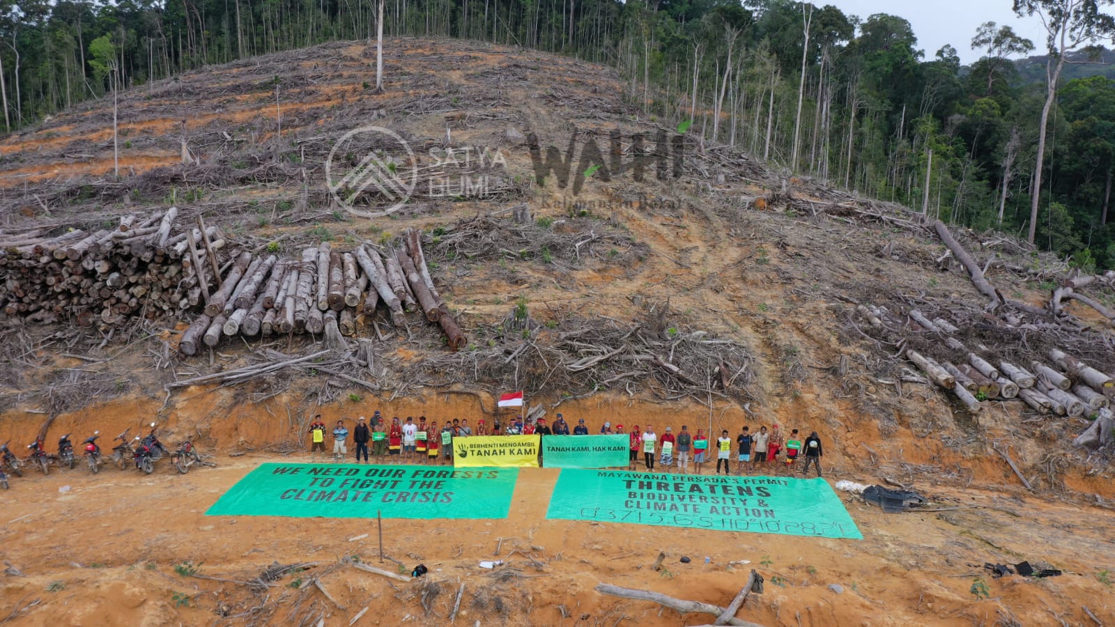 Gunduli Puluhan Hektare Hutan Kalbar, PT Mayawana Persada Dituding Tak Kantongi Sertifikat FSC