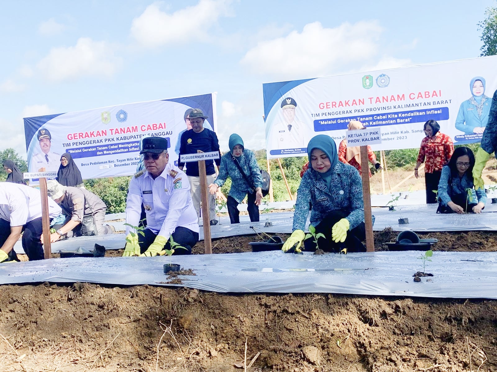 Masih Defisit, Harisson dan Windy Luncurkan Gerakan Menanam Cabai