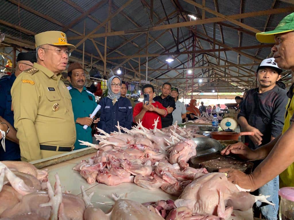 Tinjau Harga Bapok di Pasar Ratu Melati Ketapang, Harisson Soroti Tingginya Harga Ayam Potong