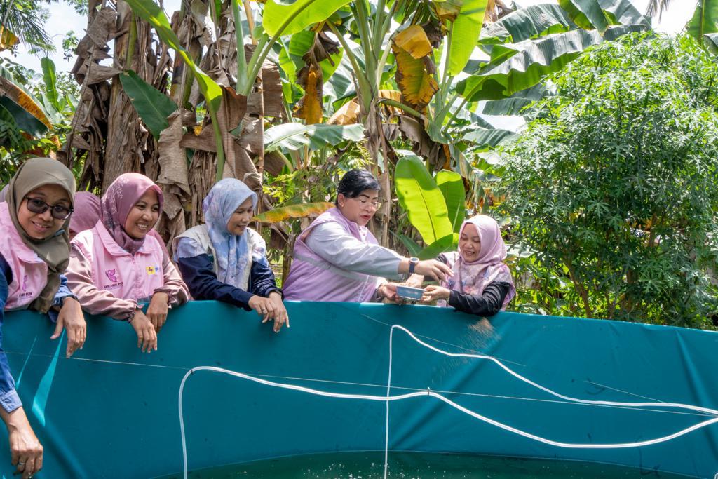 Dukung Penurunan Angka Stunting di Kalsel, Srikandi PLN Bantu Skema Keberlanjutan Cegah Stunting Melalui Kolam Bioflok Ikan Lele