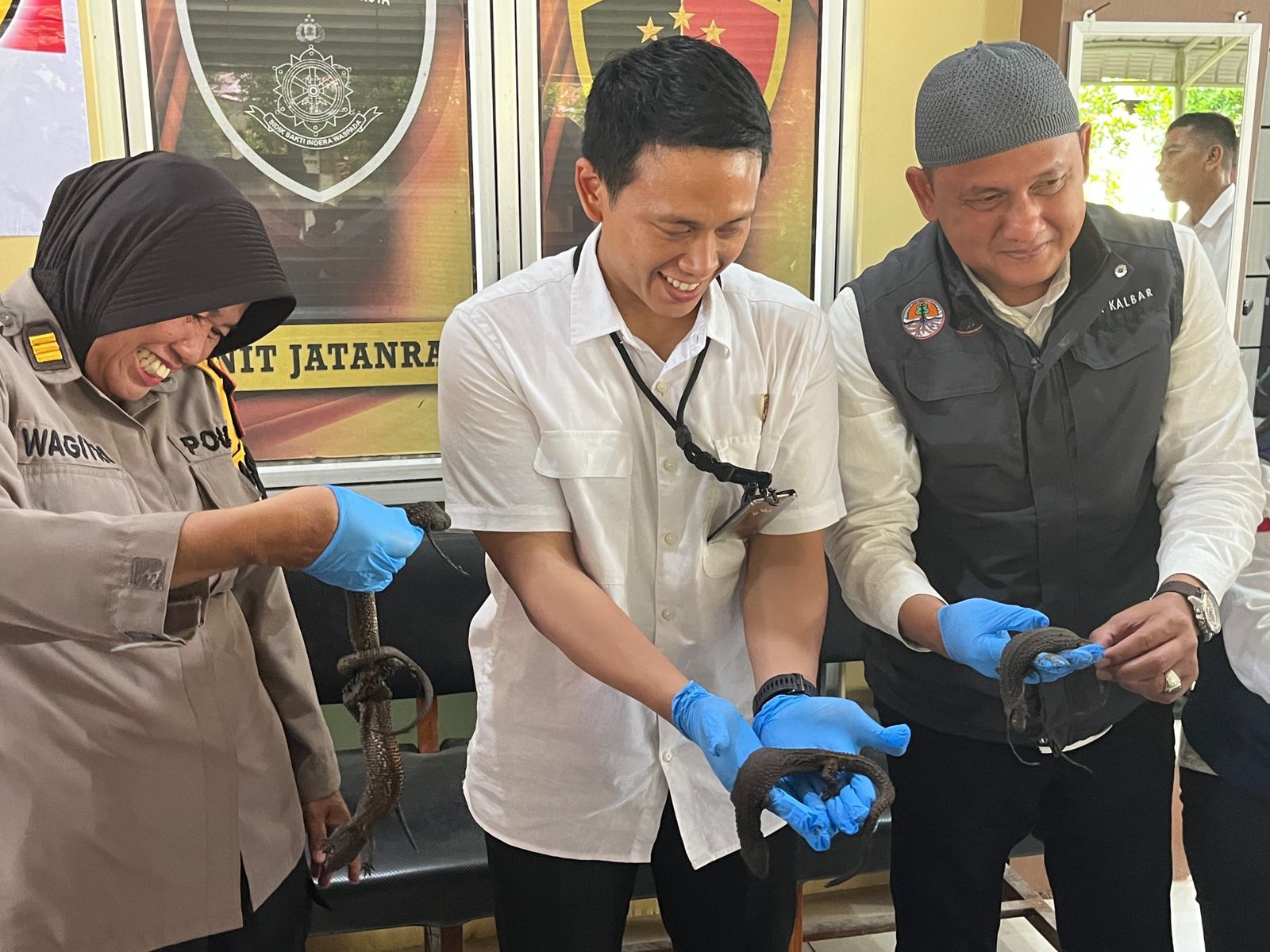 Polisi Pontianak Gagalkan Upaya Penyelundupan 40 Ekor Kadal Langka Tak Bertelinga