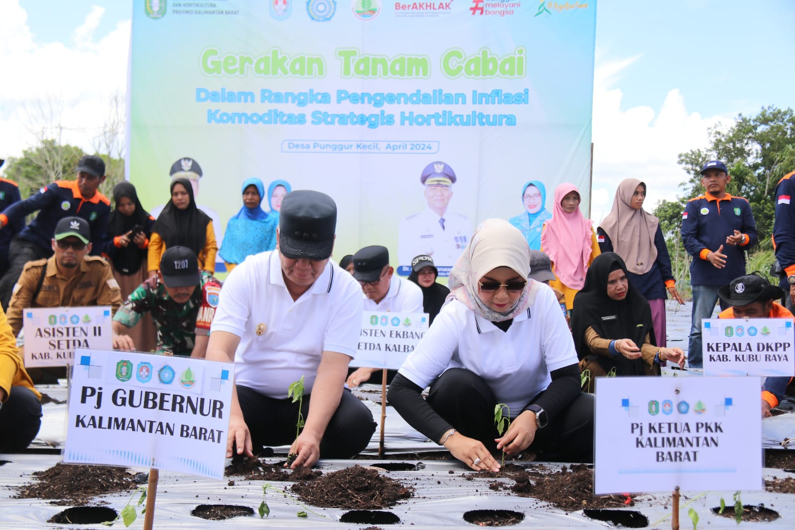 Pj Gubernur Harisson Galakkan Tanam Cabai di Kubu Raya