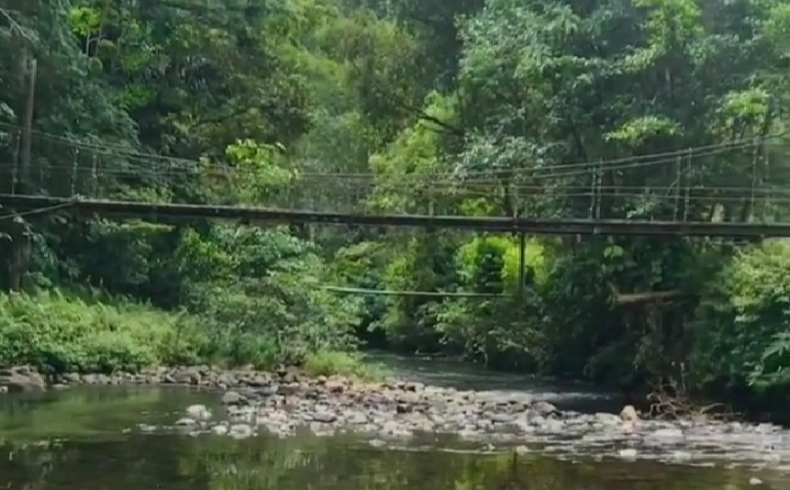 Jelajahi Keindahan Alam Kalimantan Barat: Lubuk Semah, Surga Snorkeling di Tengah Hutan