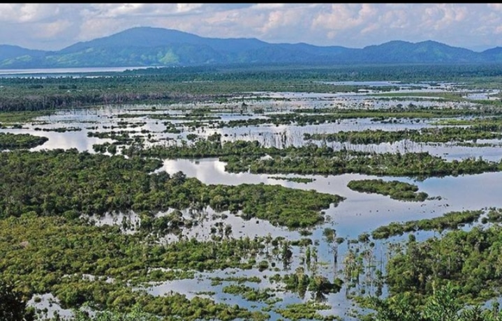 Keindahan Bukit Tekenang di Danau Sentarum: Destinasi Wisata Tersembunyi di Kalimantan Barat