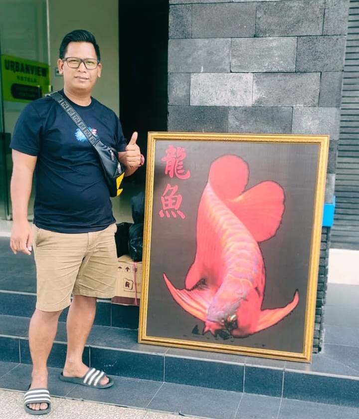 Harga Ikan Arwana Anjlok, Penangkar di Kapuas Hulu Menjerit