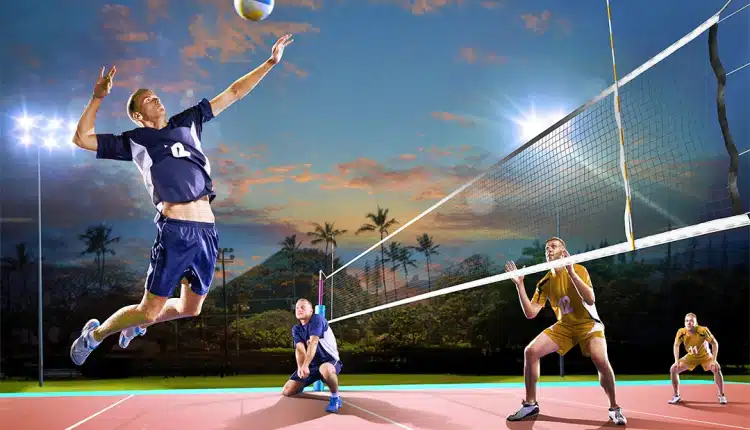 Proliga 2024 Bakal Digelar di Pontianak, Harga Tiket Mulai dari Rp 150 Ribu