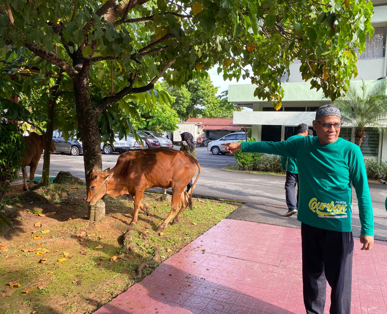 DLHK Kalbar Sembelih 7 Sapi, Dibagikan ke Kaum Dhuafa