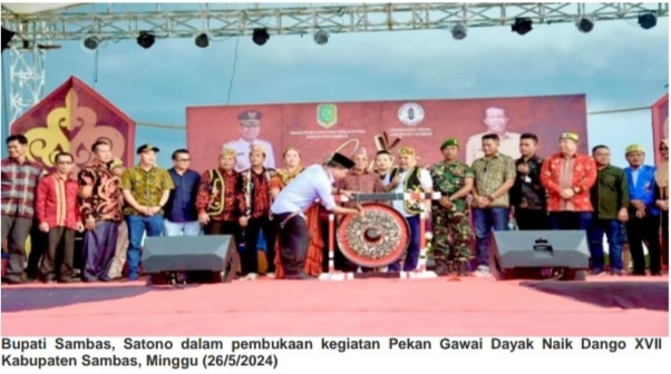 PT. Alao Kuning Dorong Pelestarian Adat Budaya Naik Dango