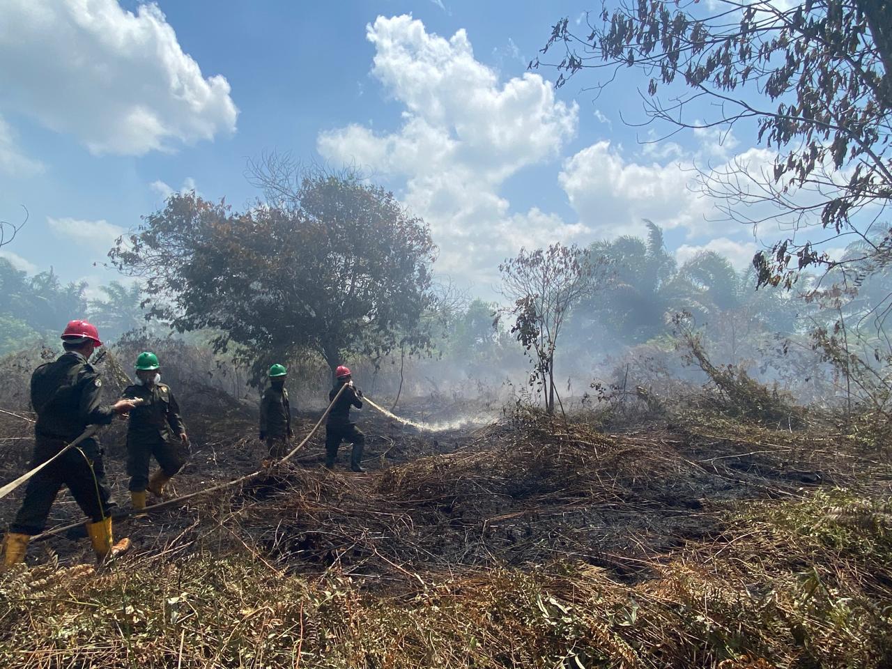 Pj Gubernur Harisson Imbau Peladang di Kalbar Tak Buka Lahan dengan Cara Membakar