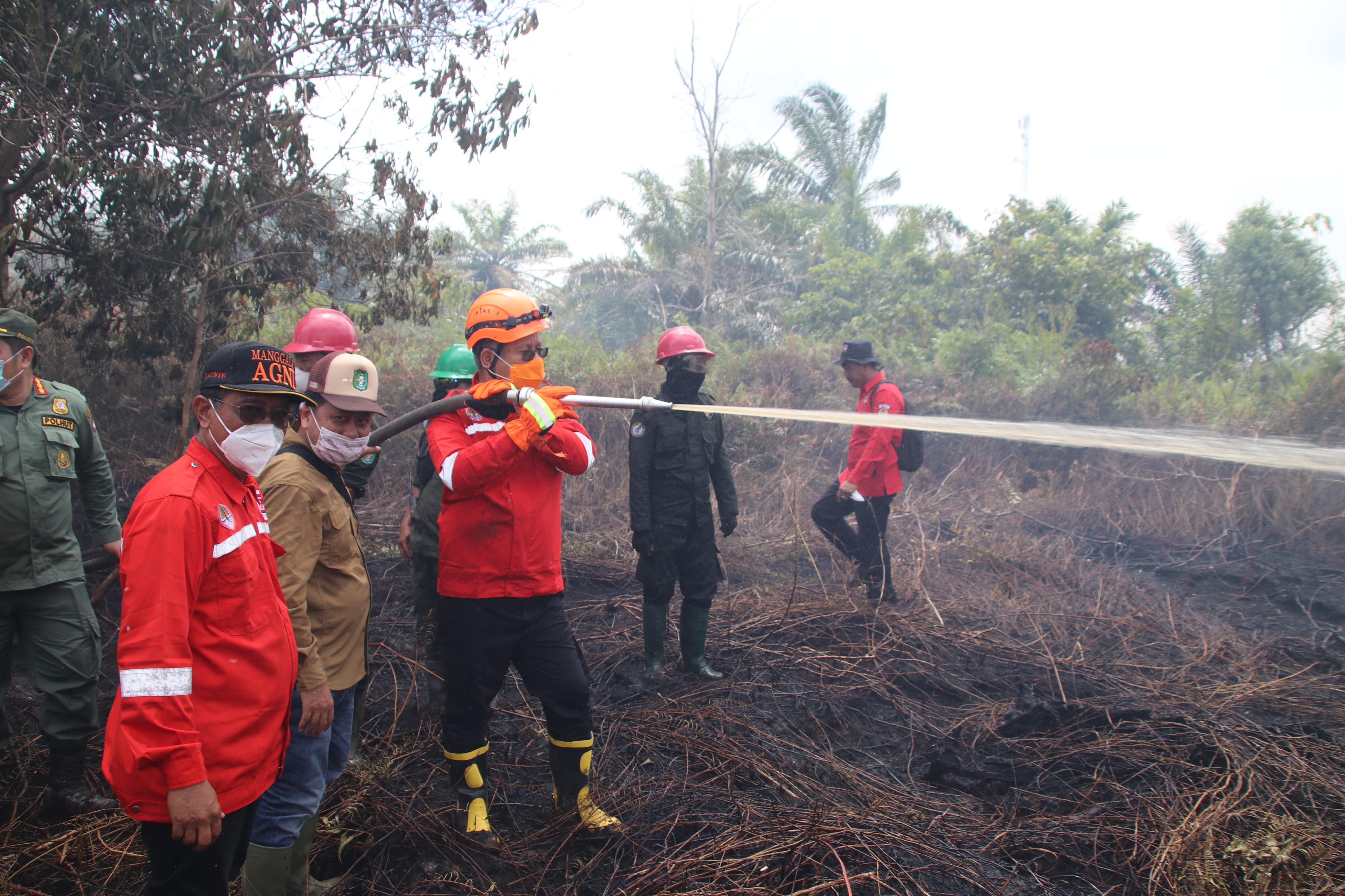 Pj Gubernur Kalbar Harisson Terjun Langsung Padamkan Karhutla di Rasau Jaya