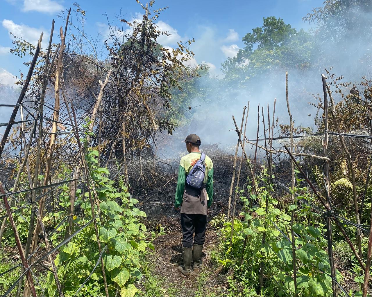 Terkepung Karhutla, Warga Rasau Jaya Terpaksa Bertahan di Rumah