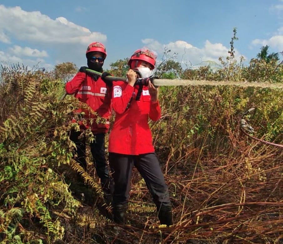 Kalbar Siaga Darurat Asap, Kadisdikbud Imbau Sekolah Kurangi Aktivitas Luar Ruangan