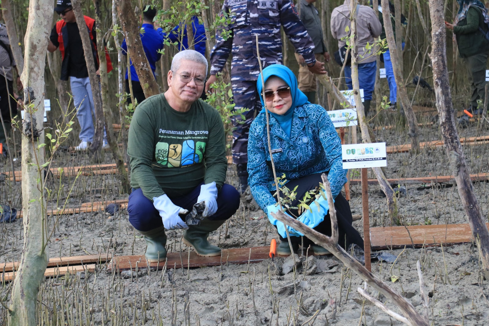 Pj Gubernur bersama Ketua IKA Smansa Pontianak Tanam Mangrove di Area Wisata Karimunting