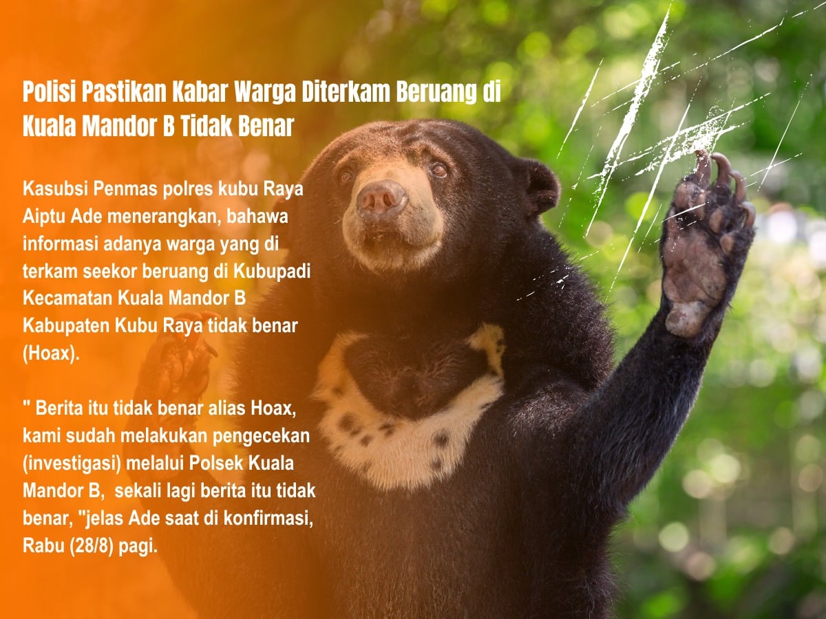 Polisi Pastikan Kabar Warga Diterkam Beruang di Kuala Mandor B Tidak Benar