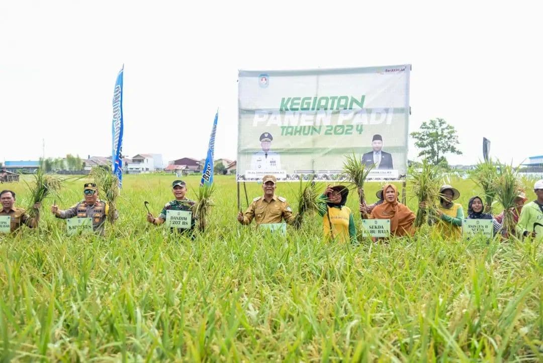 Pj Bupati Kubu Raya Panen Padi Perdana bersama Poktan Dewi Sri