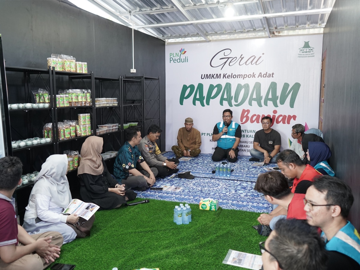 PLN UP2B Kalselteng Bagikan Tips Aman di Bawah Transmisi Listrik, Hindari Balon Udara dan Layang-layang!