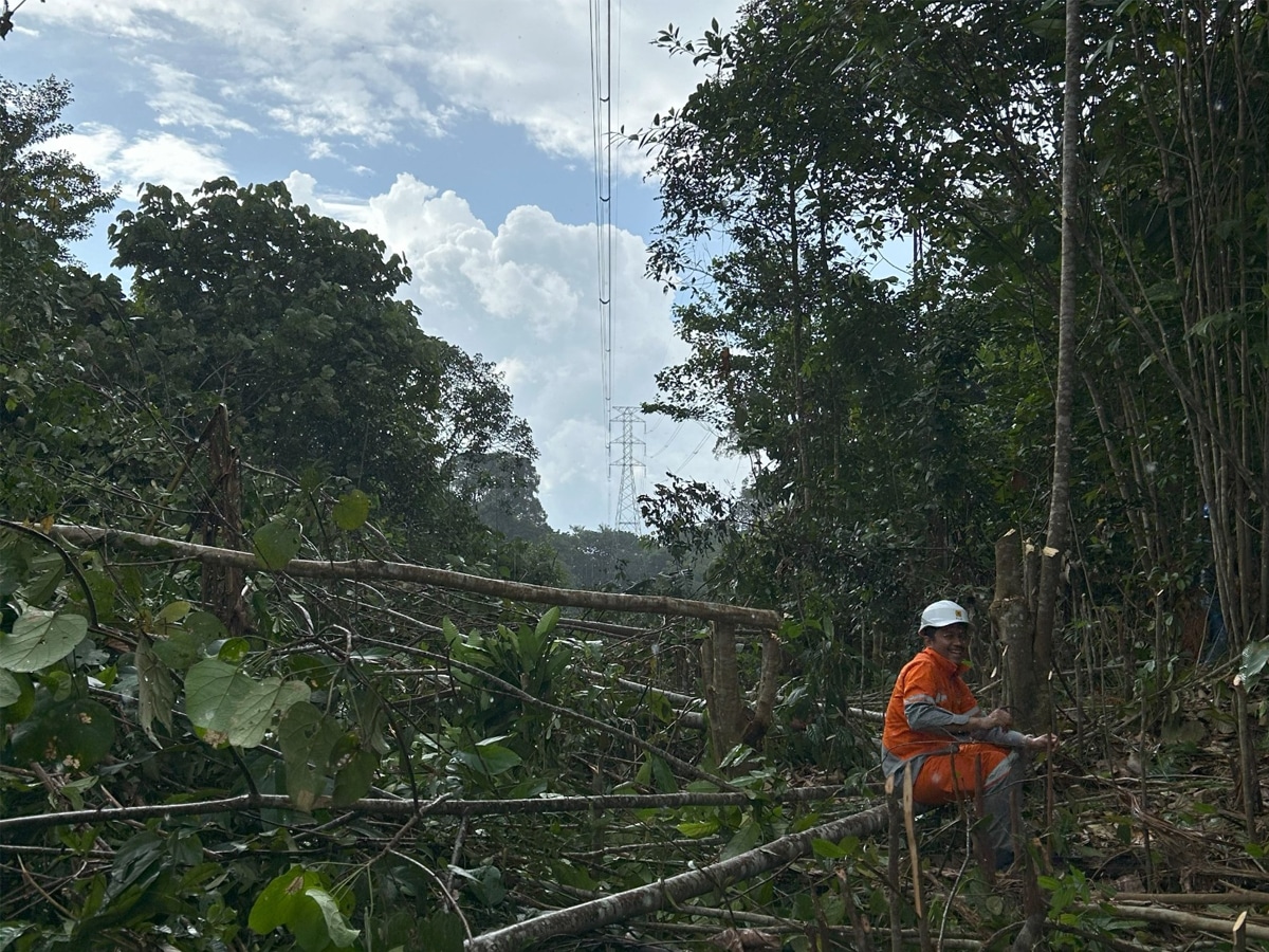 Pastikan Keandalan Listrik Kalimantan Tengah, PLN Grebek Jalur Bebas Aman di Jaringan Transmisi Muara Teweh