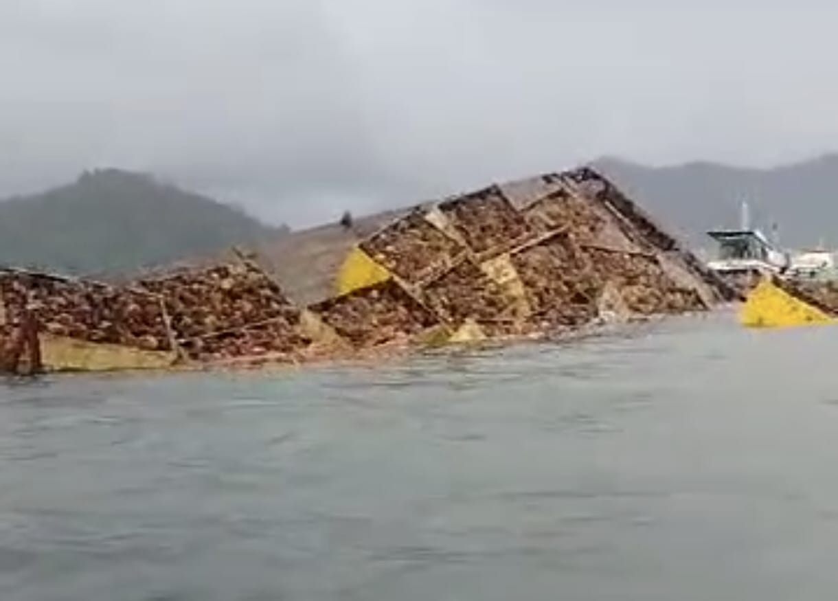 Tongkang Bermuatan Ratusan Ton Buah Sawit Tenggelam di Perairan Kendawangan