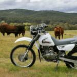 { \Illuminate\Support\Str::words($kategorix->post_title, 30, '') }}