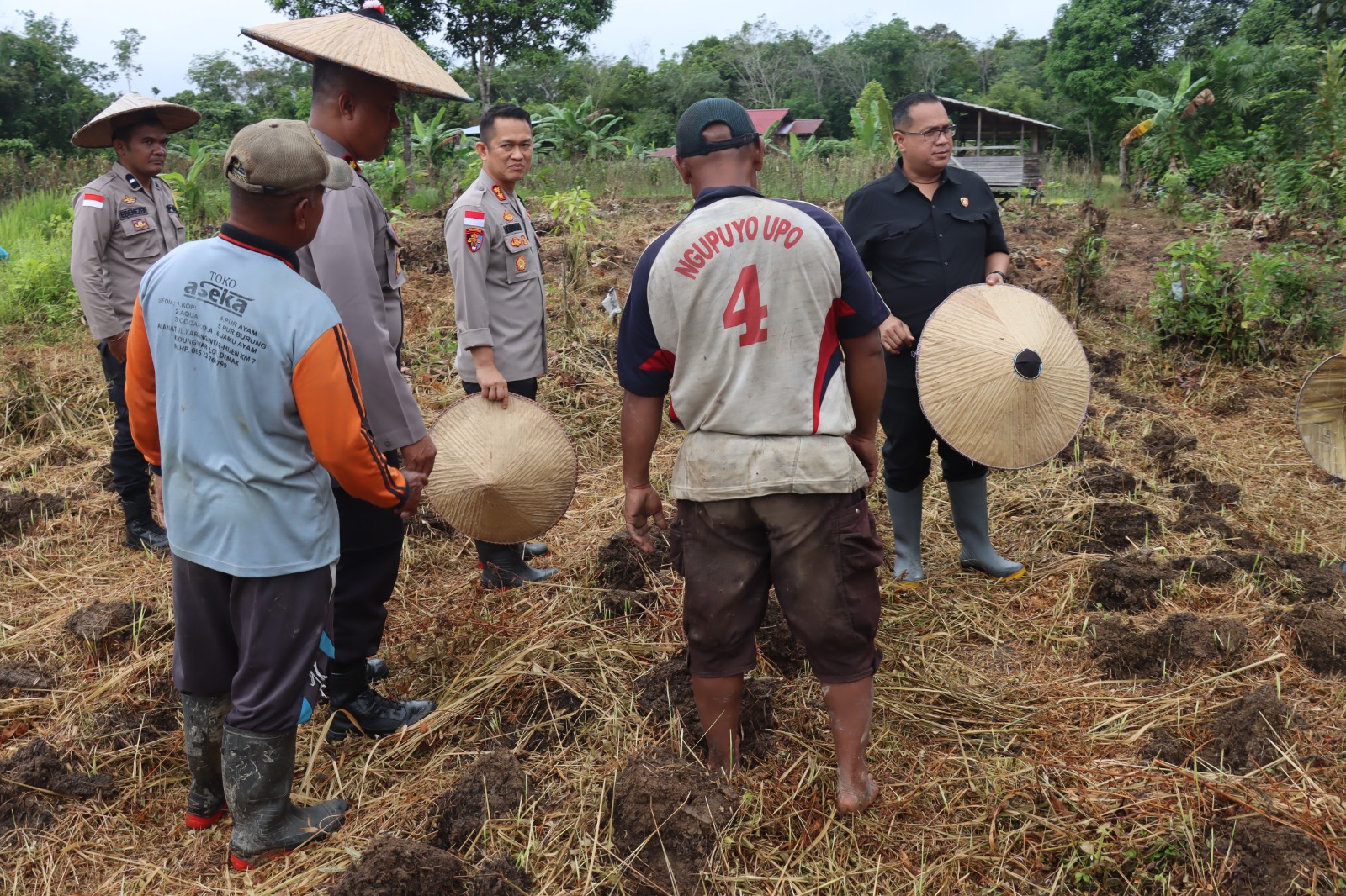 Pamatwil Polda Kalbar Kunjungi Lahan Tanam Jagung di Dusun Tanjung Pandan Desa Sibau Hulu
