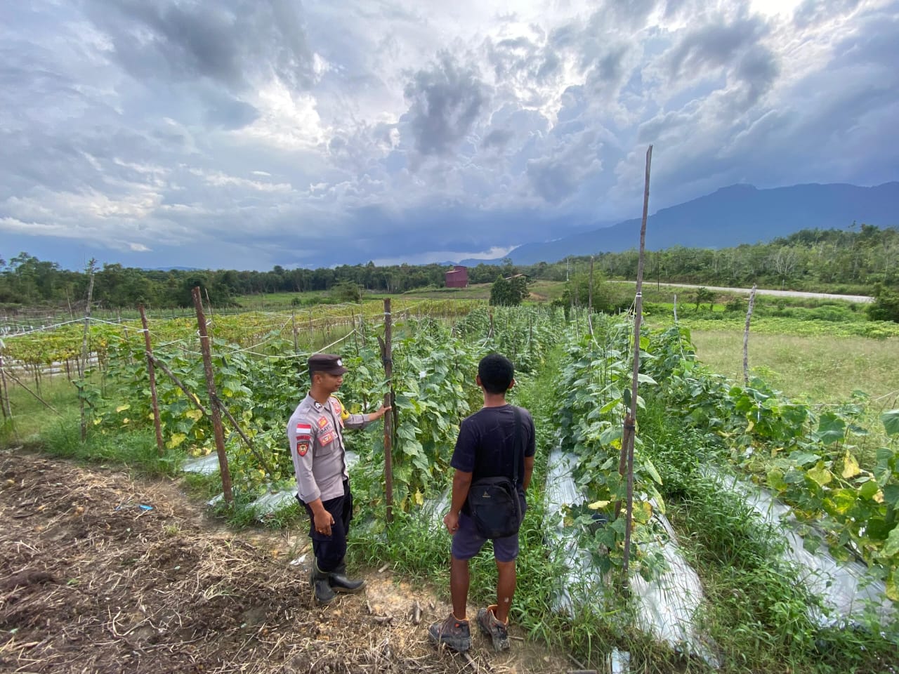 Briptu Dave Septa Kurniawan Pantau Ketahanan Pangan: Jamin Ketersediaan Pangan di Badau