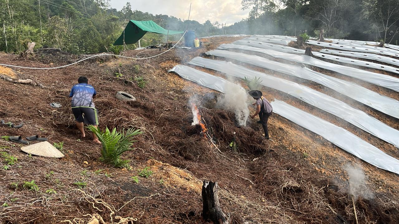 Polsek Embaloh Hulu Siap Dukung Ketahanan Pangan Lewat Persiapan Penanaman Jagung Serentak