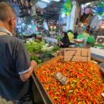 { \Illuminate\Support\Str::words($kategorix->post_title, 30, '') }}