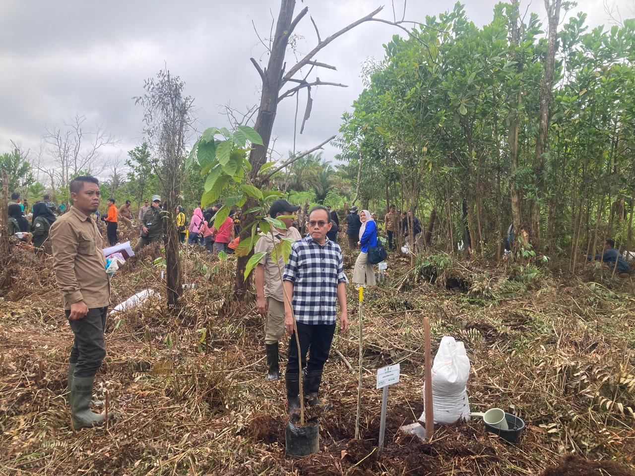 Dukung Ketahanan Pangan, 800 Bibit Pohon Buah Ditanam di Kubu Raya