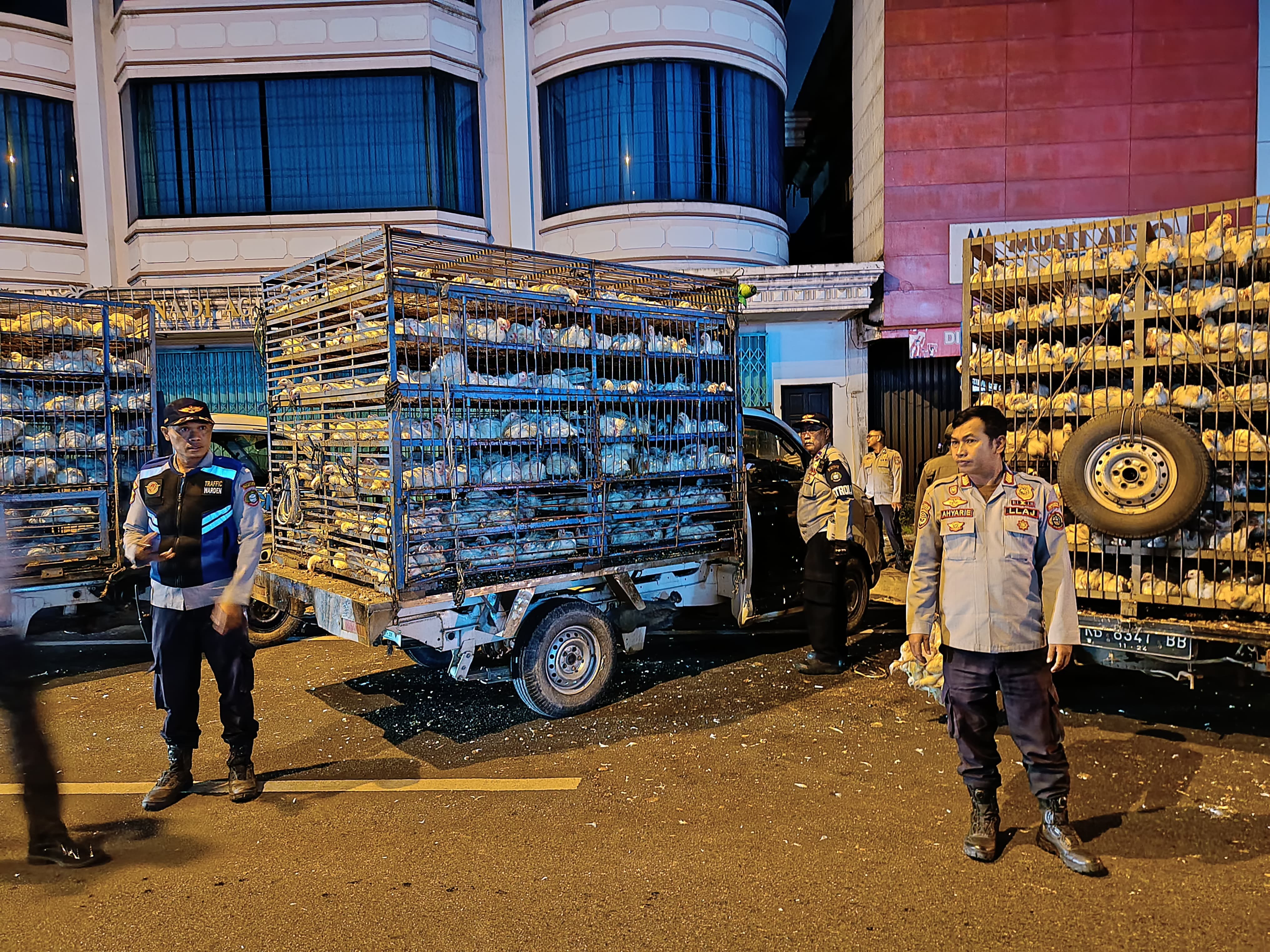 Bongkar Muat Sembarangan, Petugas Tilang 15 Pikap Angkutan Ayam