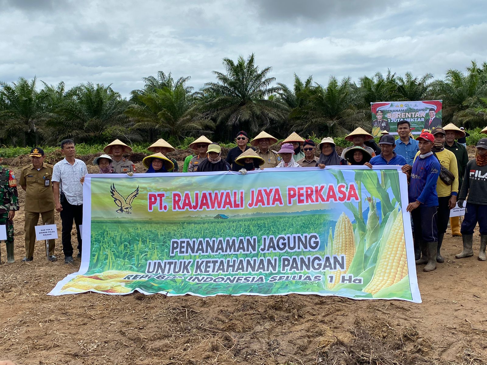 Tanam Jagung Serentak di Kubu Raya Seluas 15,8 Hektare