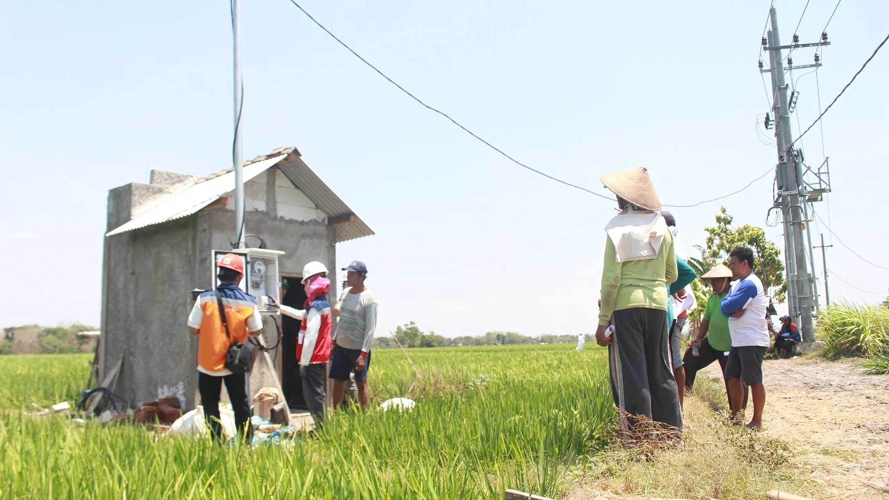 Dukung Tranformasi Pertanian Modern, Electrifying Agriculture PLN Raih 53.539 Pelanggan Baru di Tahun 2024