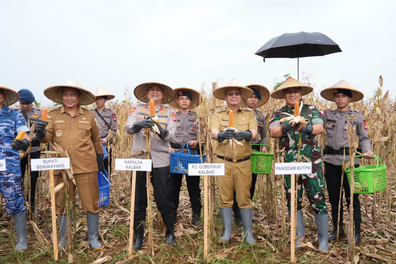 Dukung Ketahanan Pangan, Kalbar Targetkan Penanaman Jagung Seluas 9.122 Hektare
