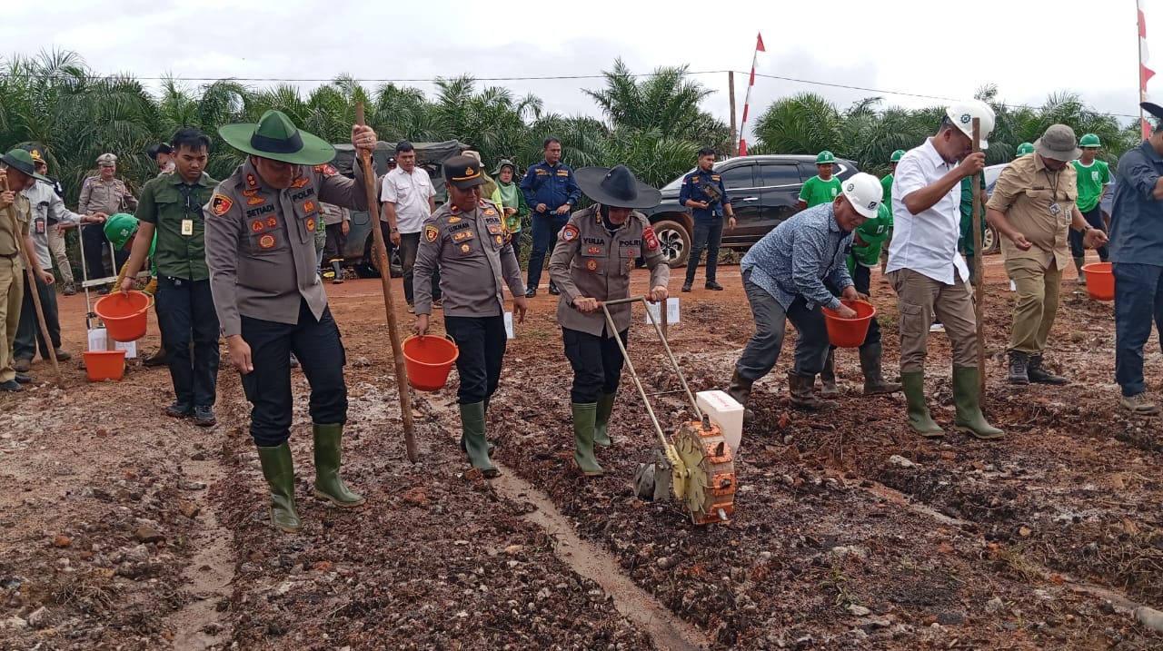Sukseskan Program Ketahanan Pangan 2025, Polres Ketapang Tanam Jagung di Muara Pawan