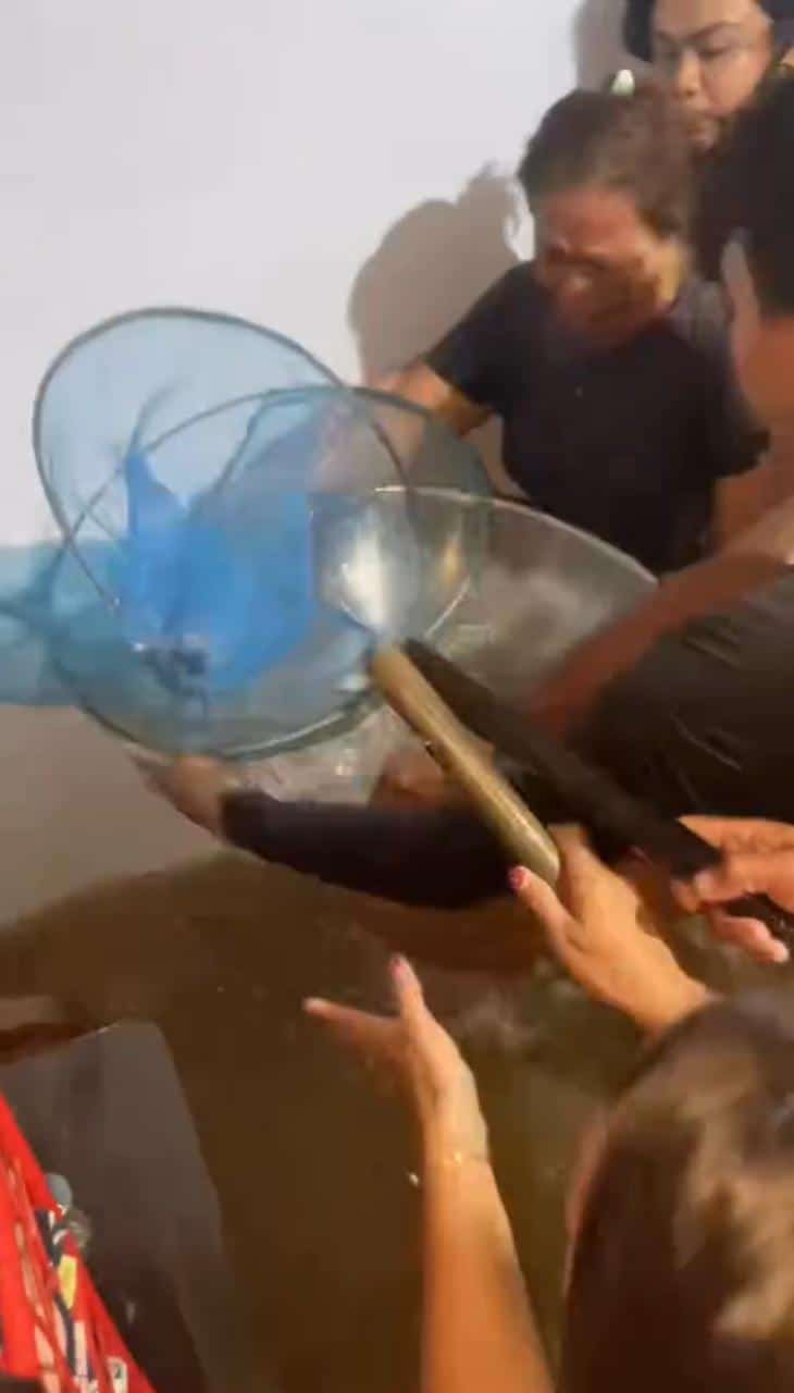 Kehebohan Warga di Landak Nyerok Ikan yang Terperangkap Dalam Rumah Saat Banjir