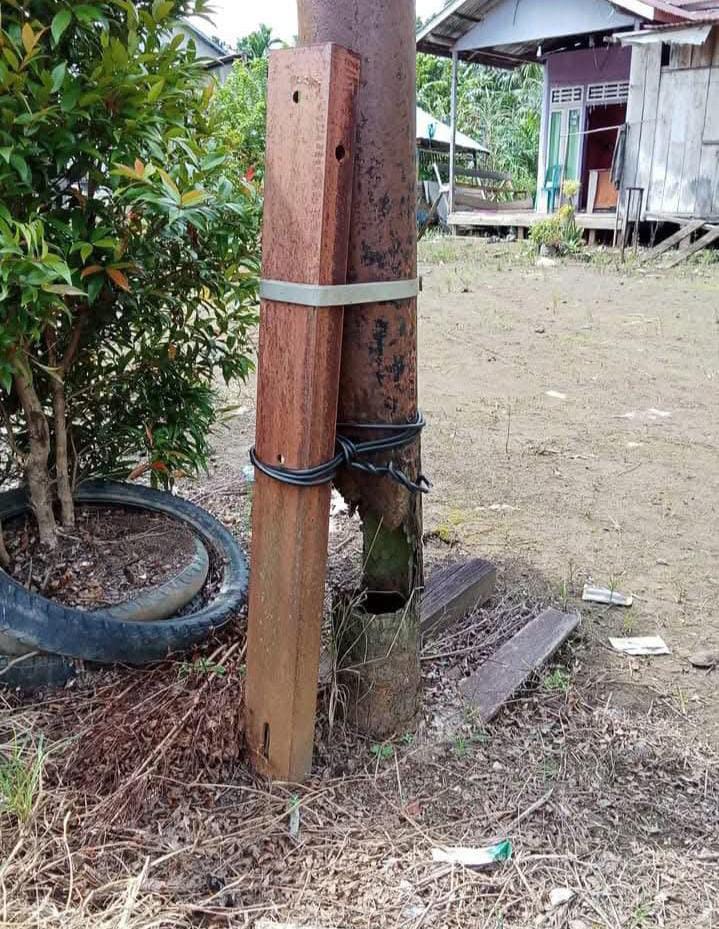 Warga Pulau Maya Resah, Tiang Listrik Keropos dan Terancam Tumbang