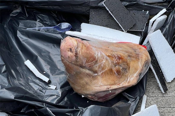 Tempo Dapat Kiriman Kepala Babi, Teror untuk Host Siniar Bocor Alus Politik