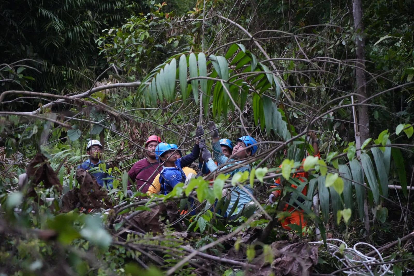 Terobos Cuaca Buruk, Petugas PLN Gerak Cepat Pulihkan Gangguan Transmisi Buntok-Muara Teweh