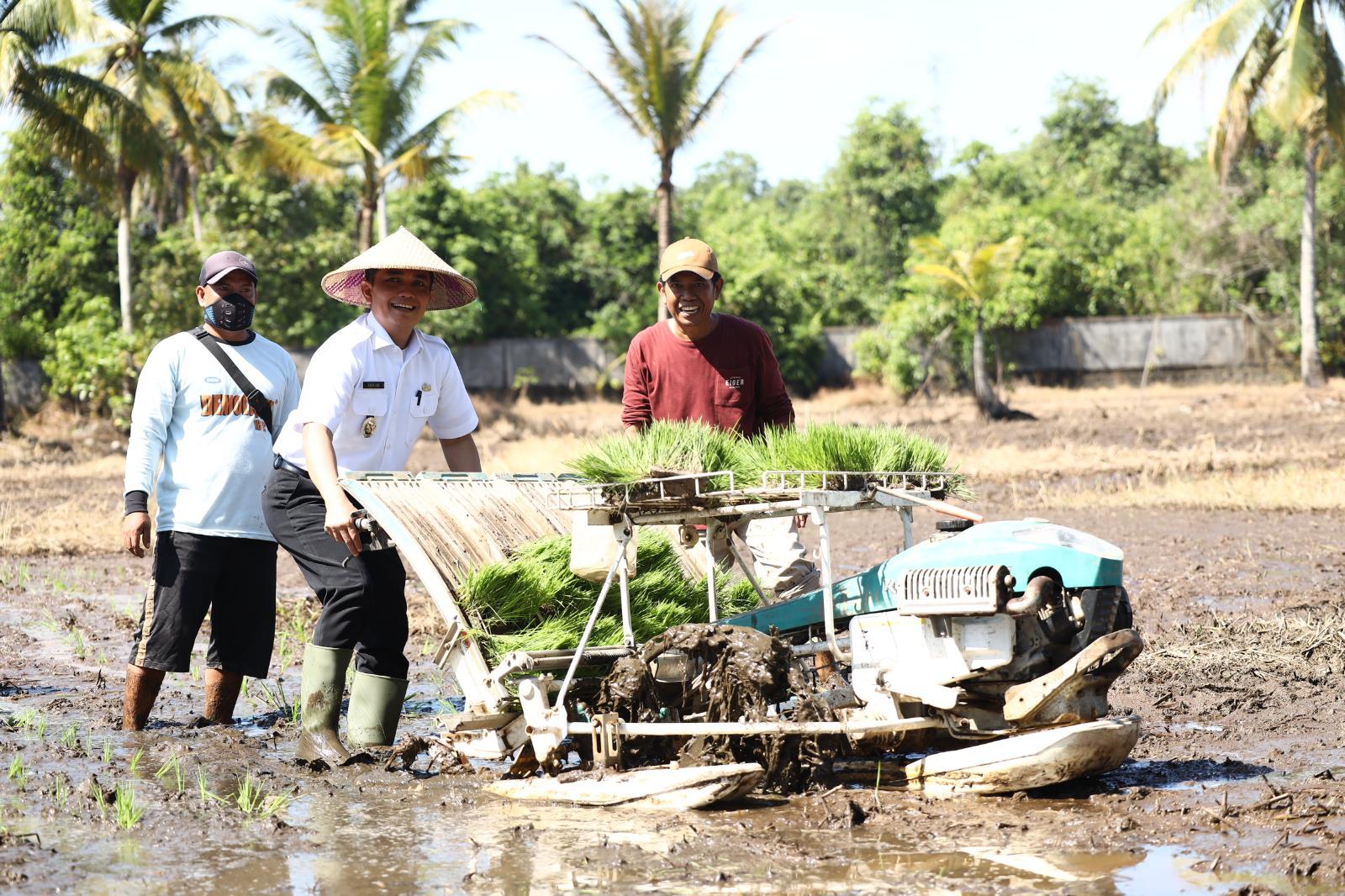 Bahasan Ikut Bajak Sawah di Pontianak Barat, Targetkan Produksi Padi Capai 800 Ton per Tahun